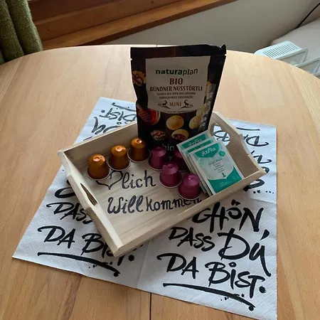 Grundschera Engadin Appartement Brail